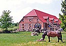 Doppelzimmer&nbsp;Zimmer ENTE | SPECHT in der Naturherberge in Waren(Müritz)