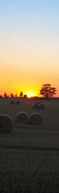 Abendstimmung im Herbst